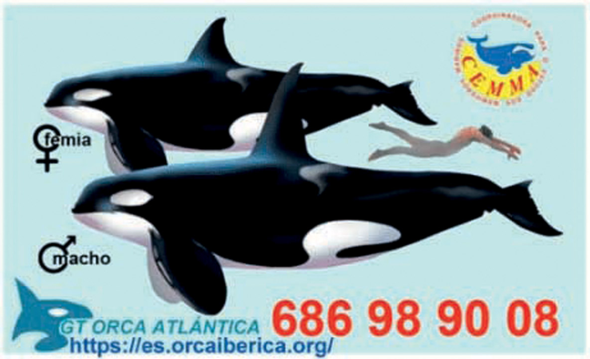 La carte de visite de GT Orca Atlántica.
