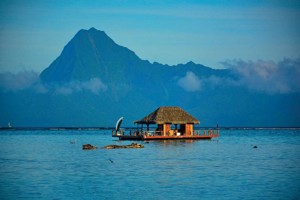 Une image tout à fait représentative de la douceur de vie de Moorea…