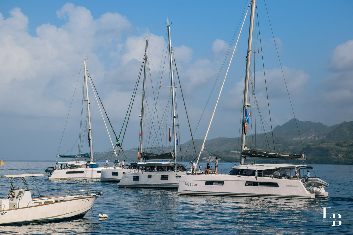 Pas de vent le matin : les catamarans ont des fourmis dans les coques !