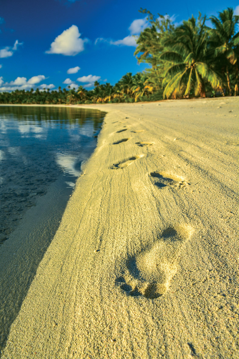 Un sable juste parfait, des cocotiers à perte de vue, il ne manque plus qu’un ti ’punch à siroter – avec modération, bien sûr !