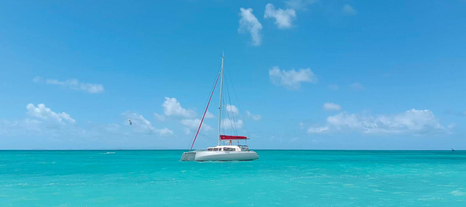 Robinsons dans la baie de Pomato Point à Anegada, îles Vierges Britanniques.