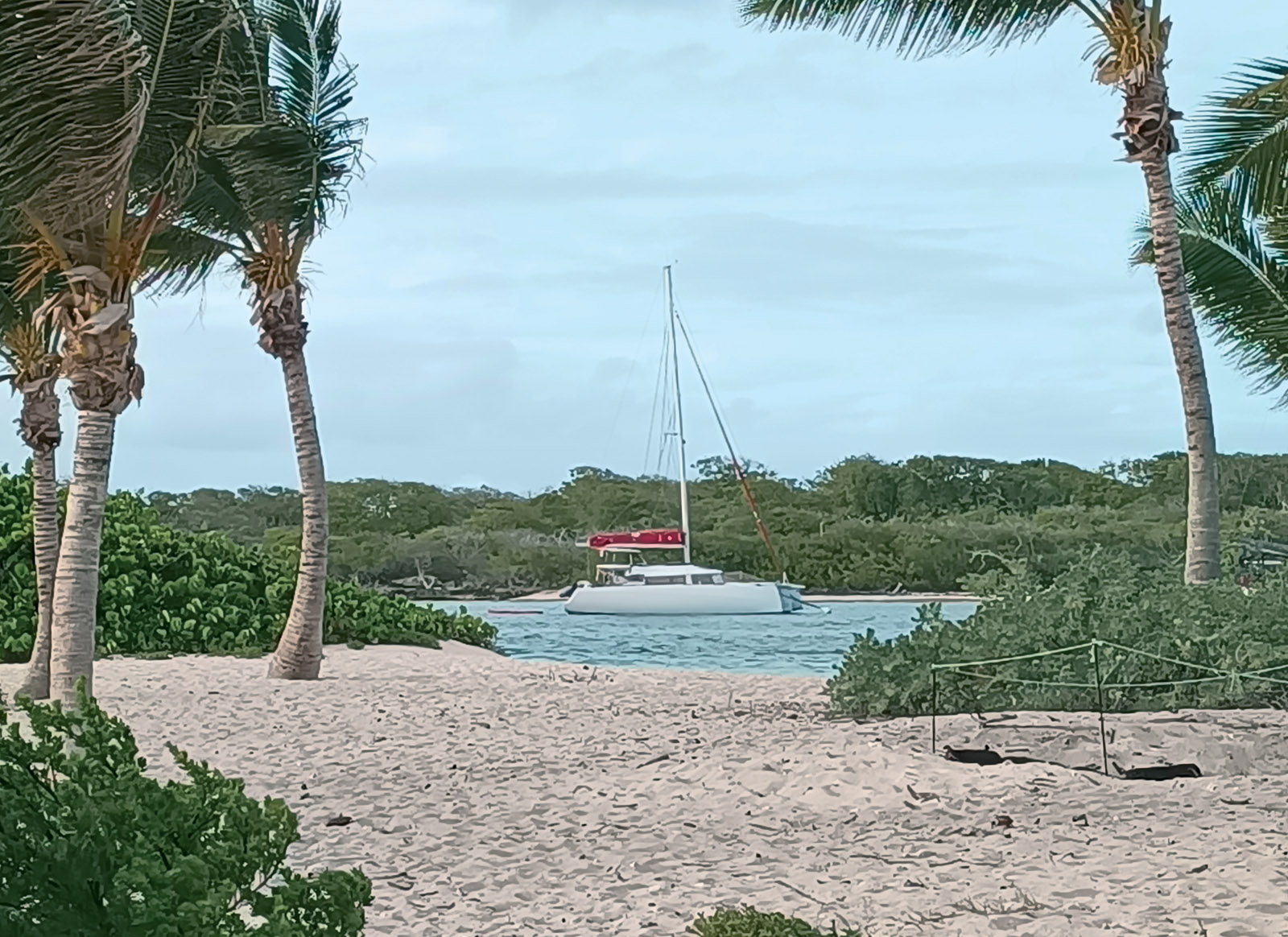 Yumelo à la bouée à Petite-Terre, Guadeloupe.