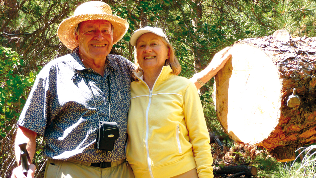 Multihulls Match: wood/epoxy composite or sandwich