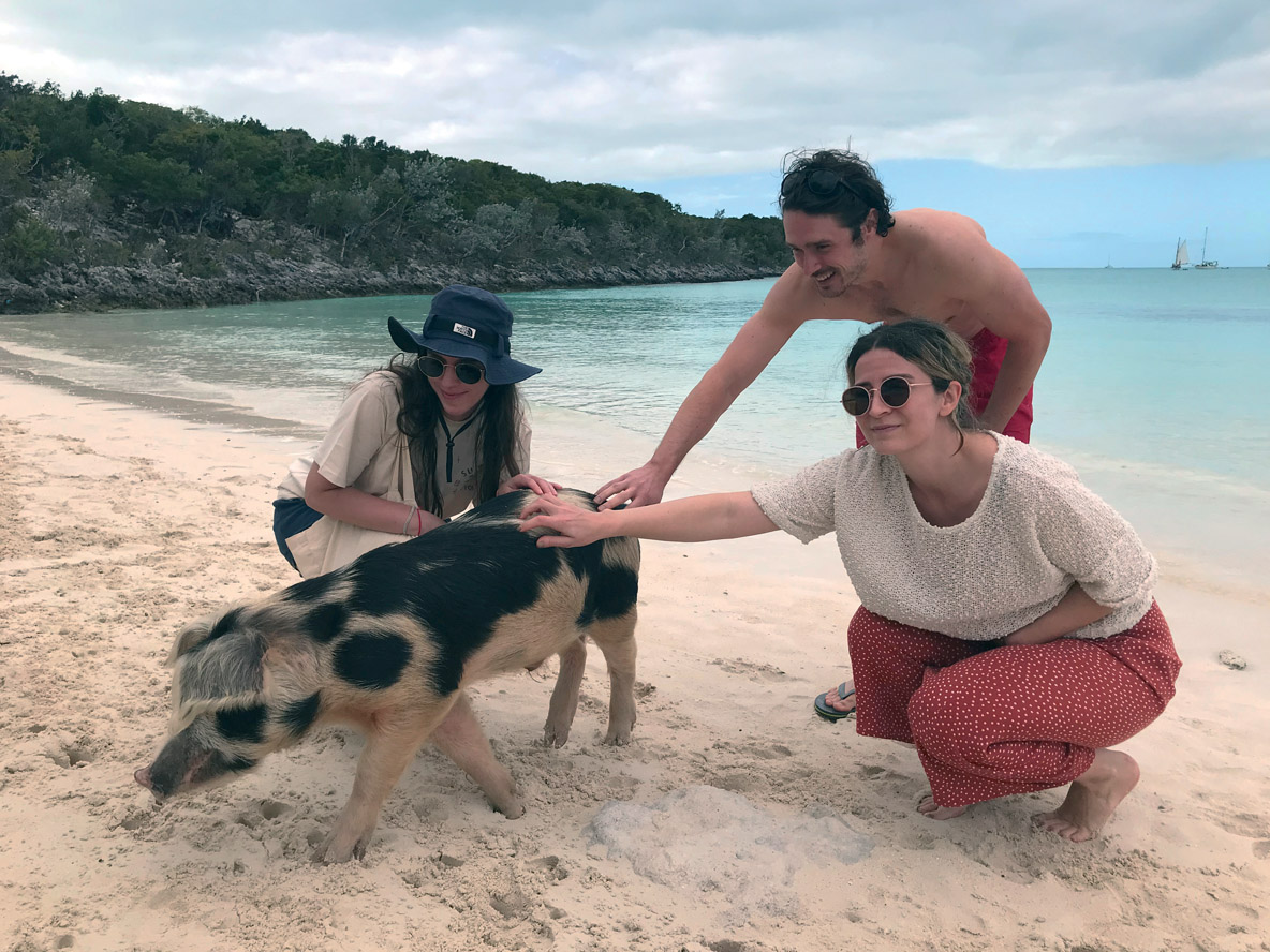 Pig Island, la bien-nommée, abrite une importante colonie de cochons qui font le bonheur des plaisanciers à l’escale…