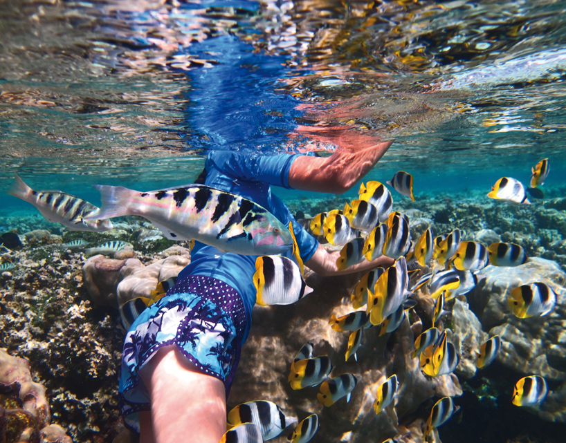 Moana in French Polynesia