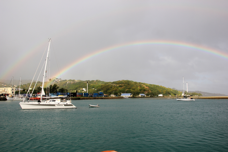 Carte Postale Ptit Filou