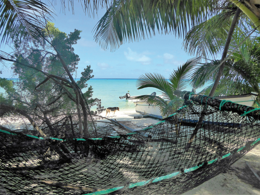 Readers' spot MW 152