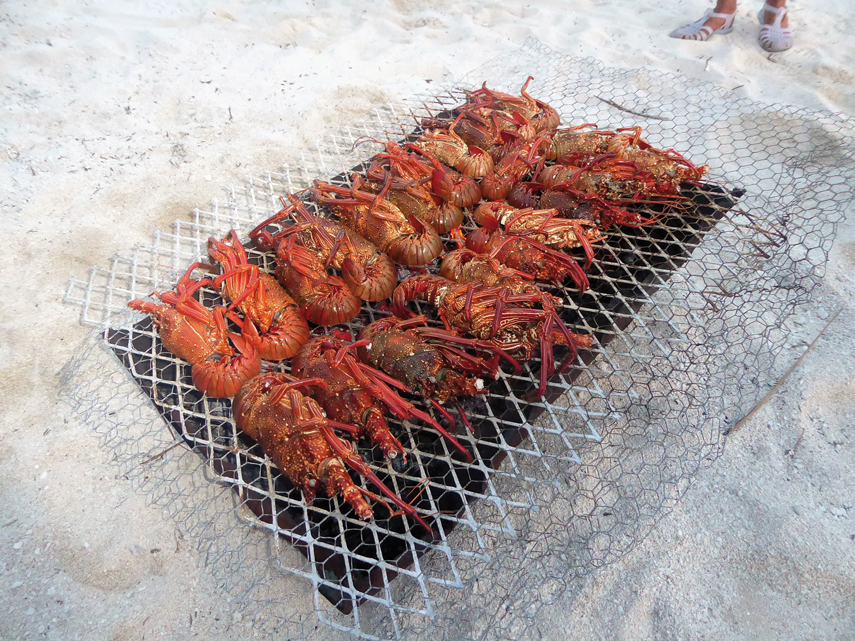 Readers' spot MW 152