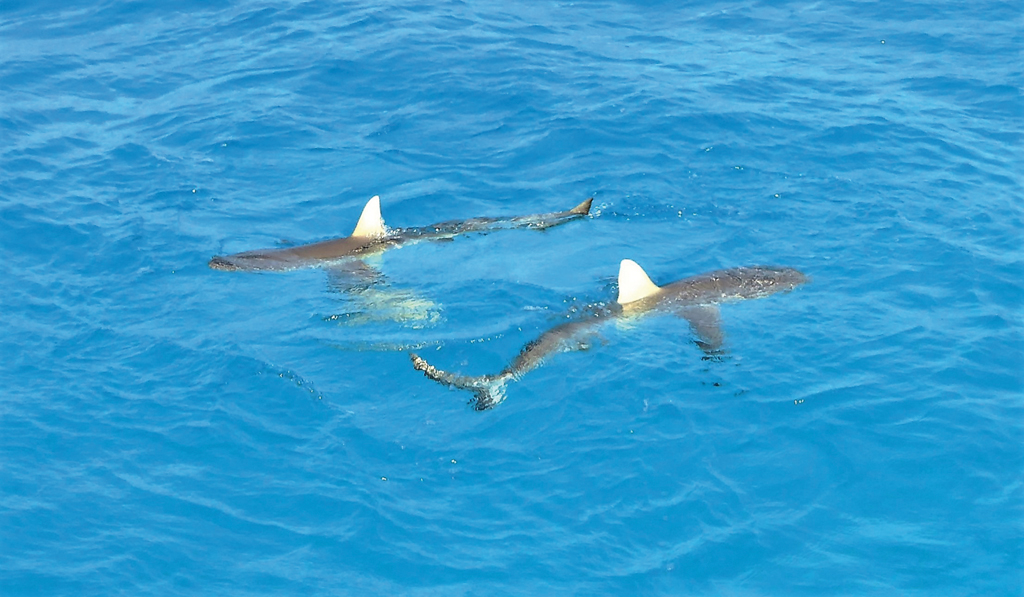 Readers' spot MW 152