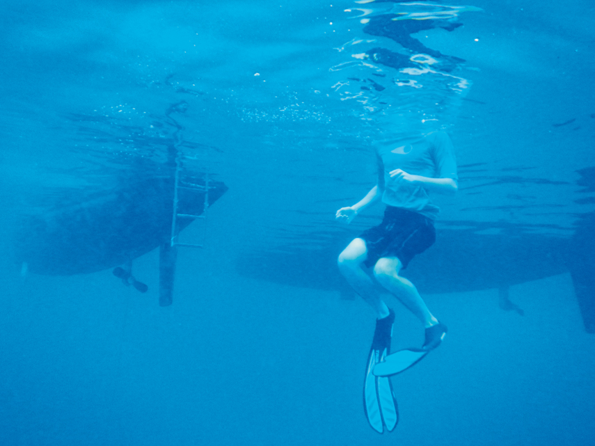 Holidays in paradise