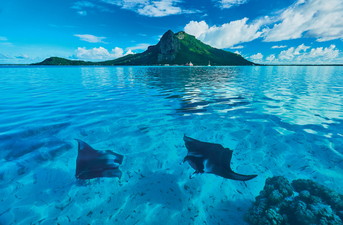 © Bertrand Duquenne