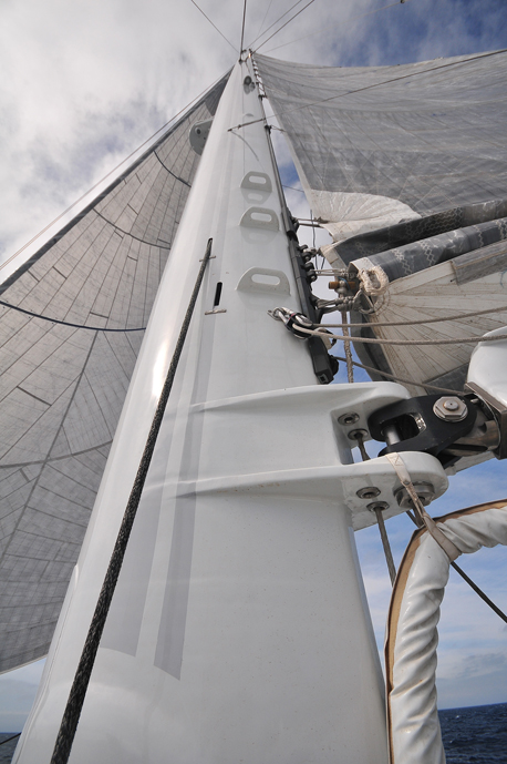 Test Vitalia - Orange II