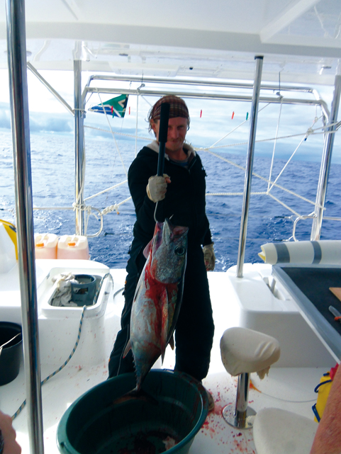 The transatlantic between Africa and Brazil