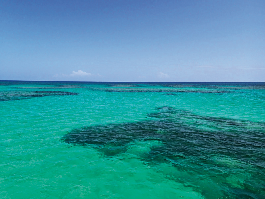 transat : an exhilarating time