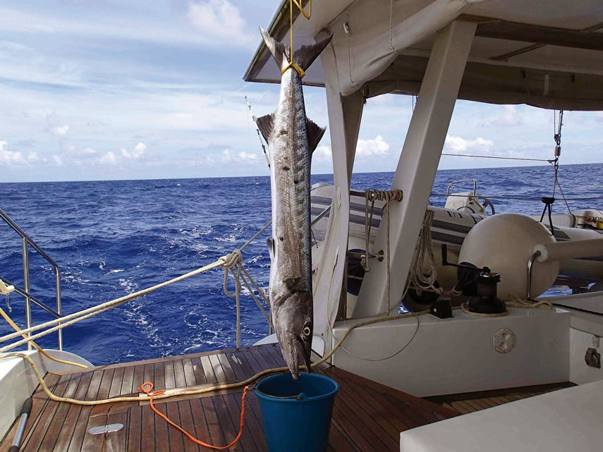 transat : an exhilarating time