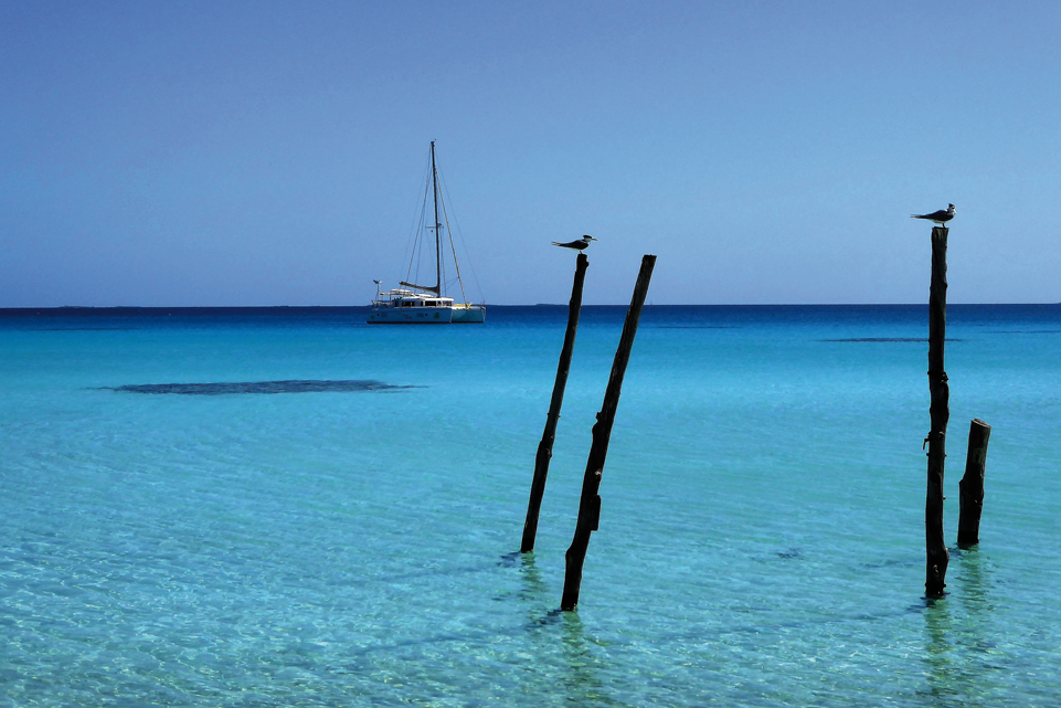 Carte Postale Ylang Ylang