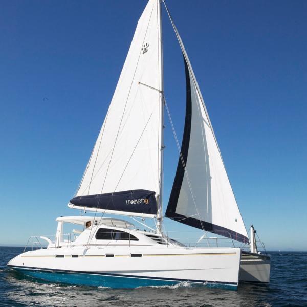 Les longs redans extérieurs sont caractéristiques de ce modèle dessiné par Alex Simonis.