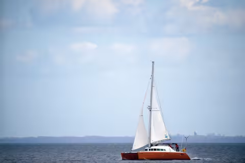 Parti d'Allemagne en 2015, Imagine est maintenant aux Antilles… 