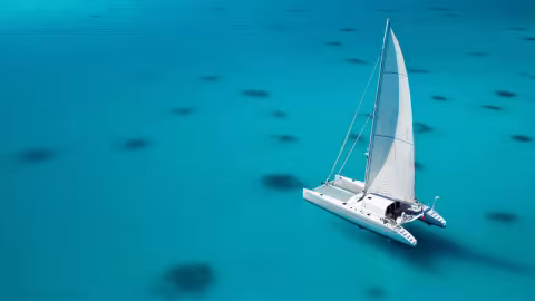 A breathtaking wilderness to discover on a boat comparable to a five-star hotel on the water. This is the paradox of luxury charter 