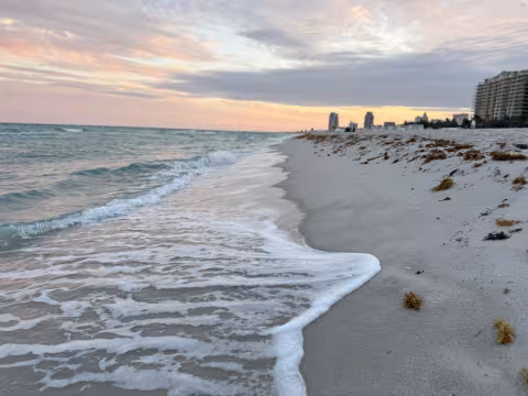 MIBS takes place across five different marinas and the Convention Center.