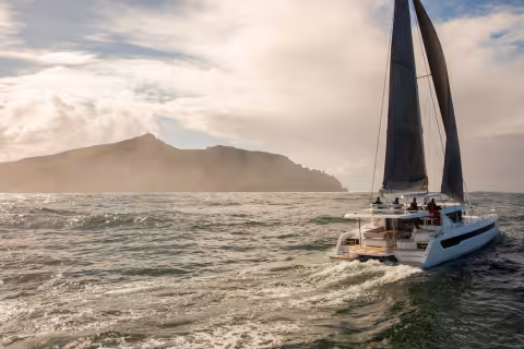 LEOPARD 46 Catamaran Hybrid Electric Drive | Complete Tour | Subtitles in French available!