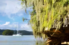 République Dominicaine - Paré à découvrir les secrets de Los Haitises ?