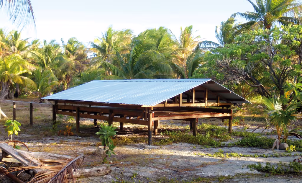 Un séchoir à coprah découvert sur le motu…