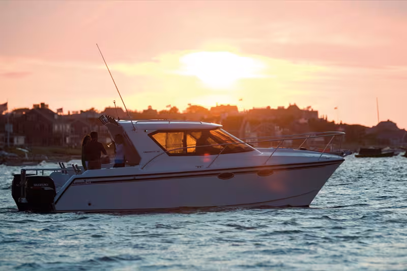 Arrowcat : le bon plan