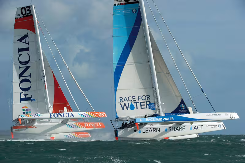 Le retour des libellules du grand large...