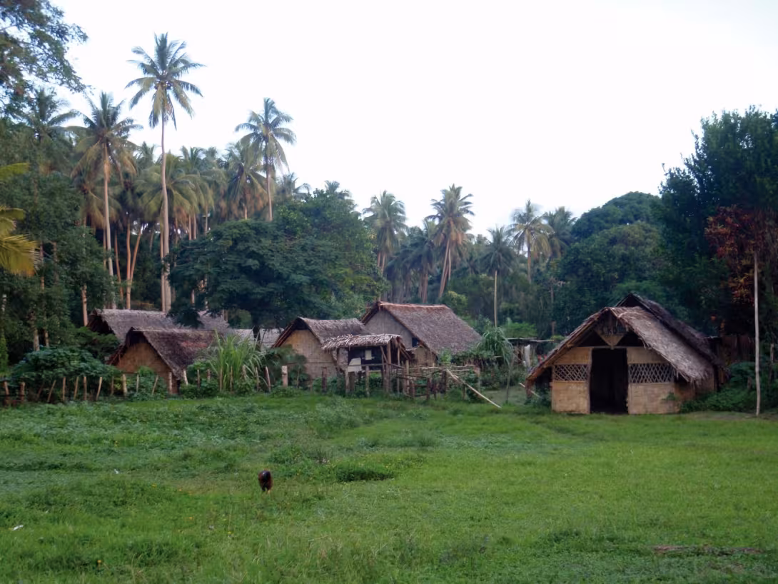 The traditional homesteads of the village of St Joseph, on the edge of the jungle…  