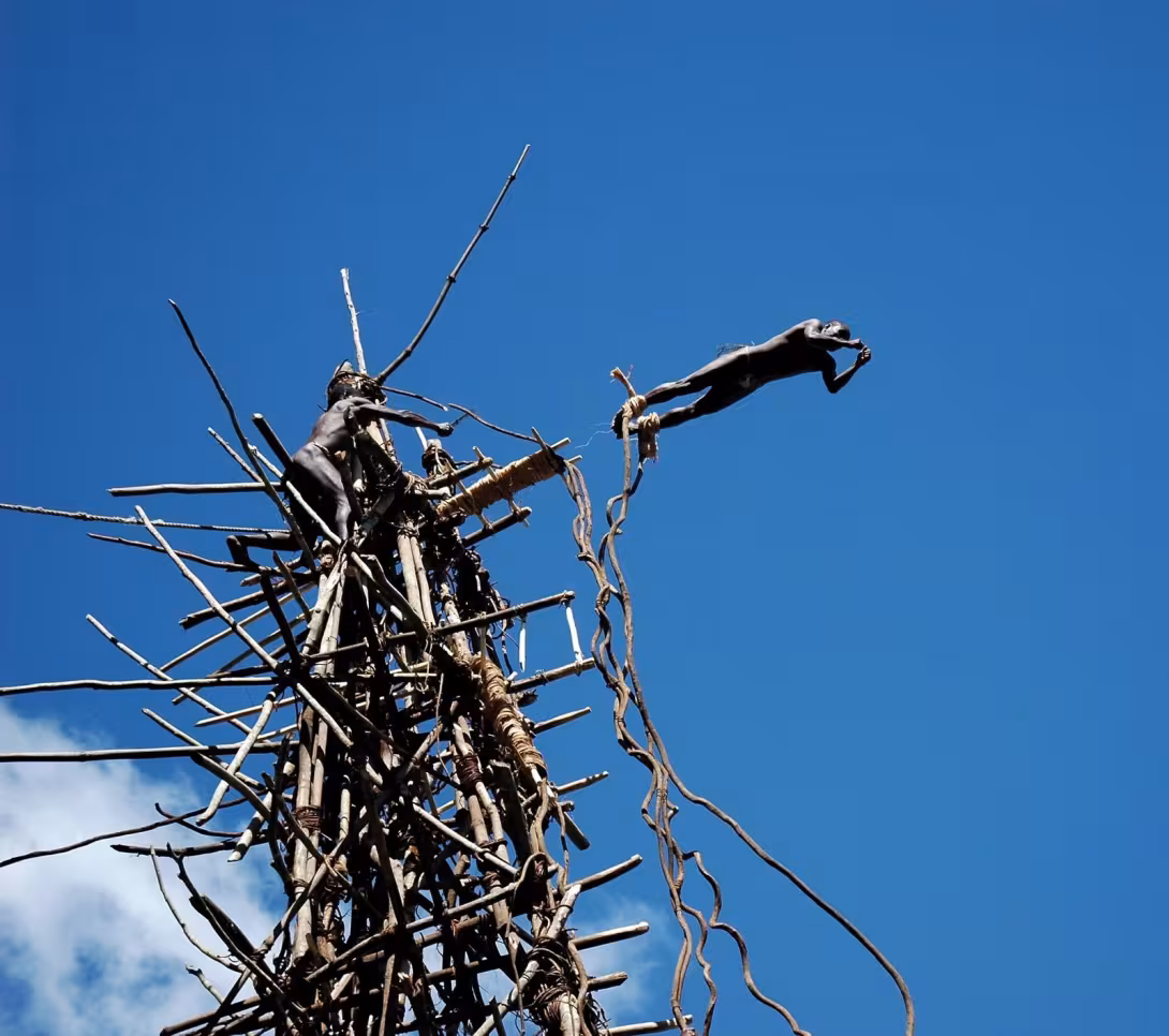 Joseph performing the N’gol Land Diving from the tower’s highest platform. 18 or 19 meters, head first… The fall is broken violently just a few centimeters from the ground…  