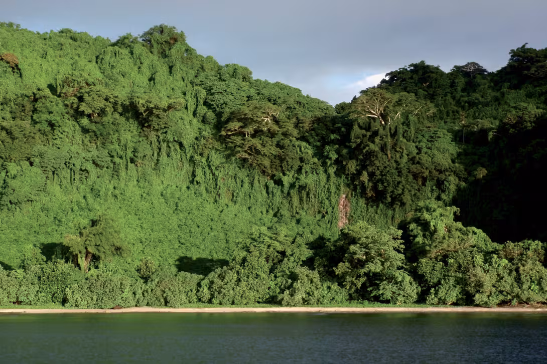 La vue du mouillage depuis le bateau.
