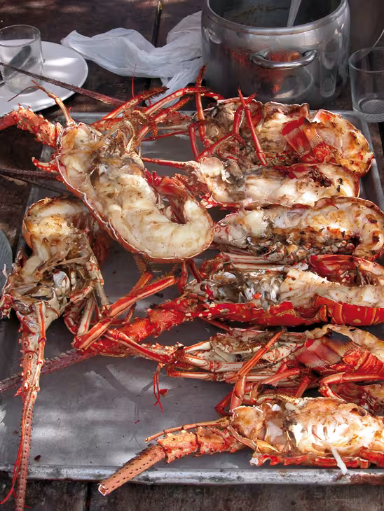 C'est sûr qu'après votre retour à terre, vous ne mangerez plus autant de langoustes…
