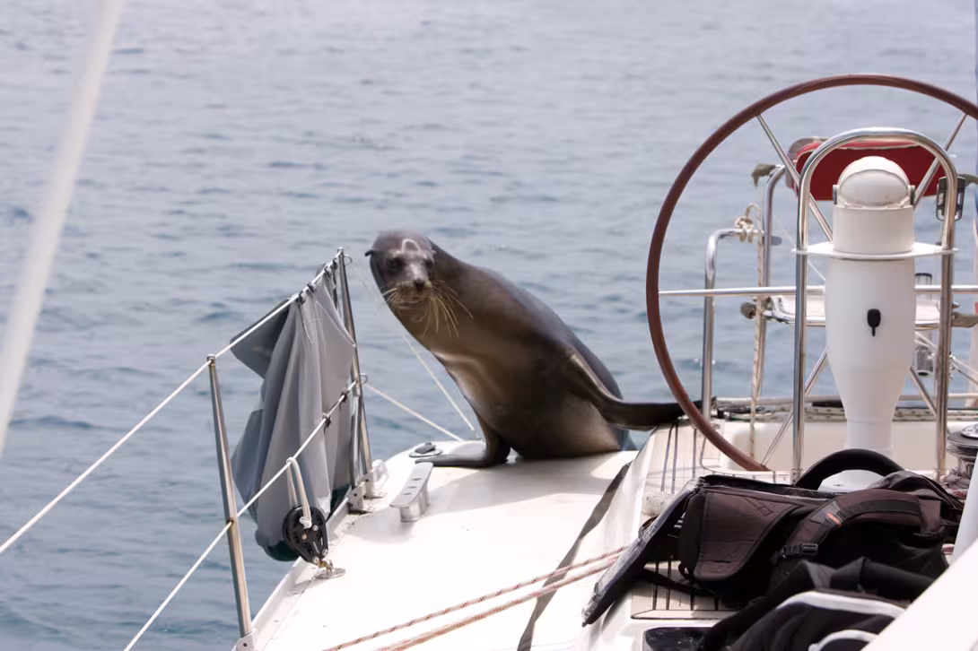 Les rencontres font partie du voyage : certaines sont plus marquantes que d'autres, mais toutes vous ouvrent sur le monde. Un vrai plus pour votre vie "d'après" !