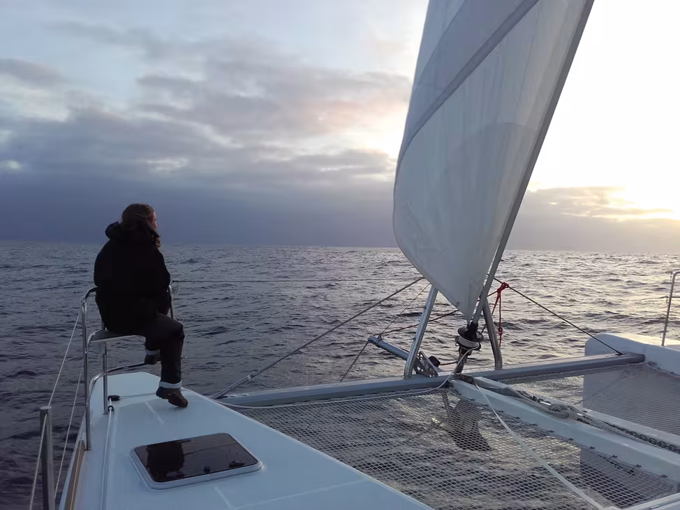 After just a few hours out at sea, the first dolphins came to meet us.  