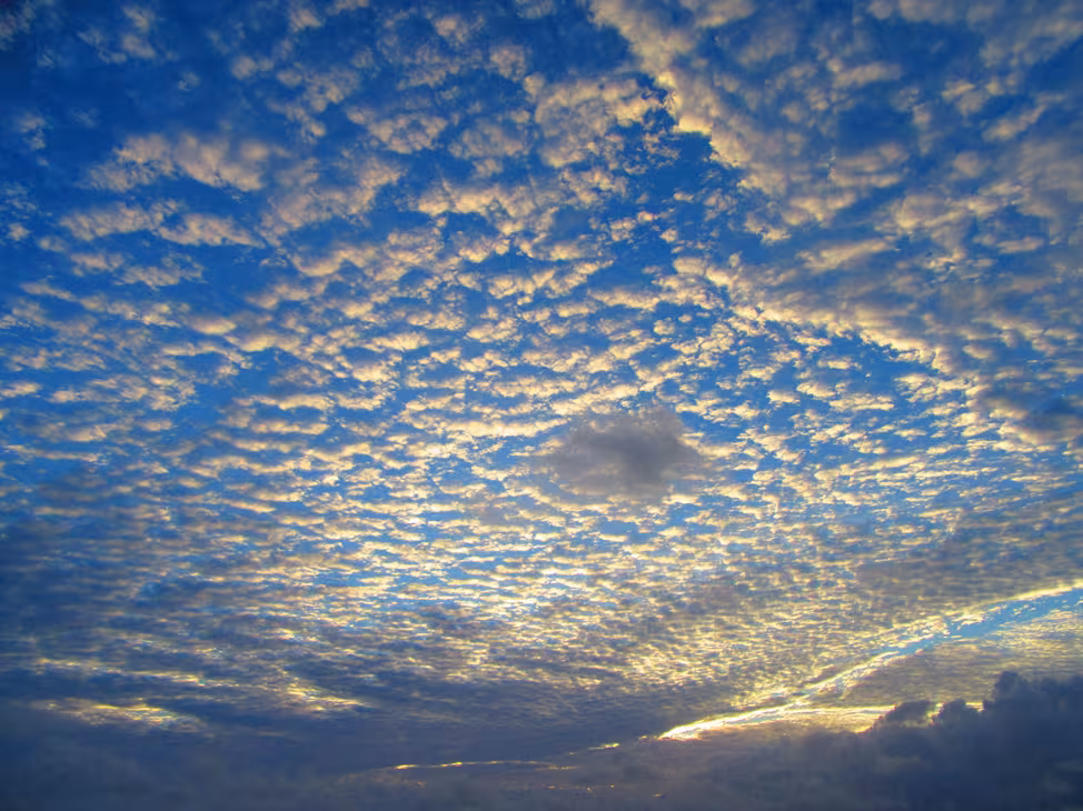 Couleurs de transat : juste des souvenirs exceptionnels…