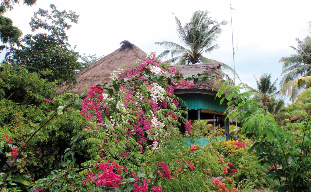 Maison de bord de mer sur la côte nord de Florès…