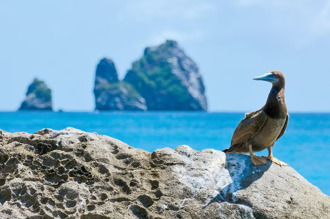 Des fous en liberté, il y en a partout !