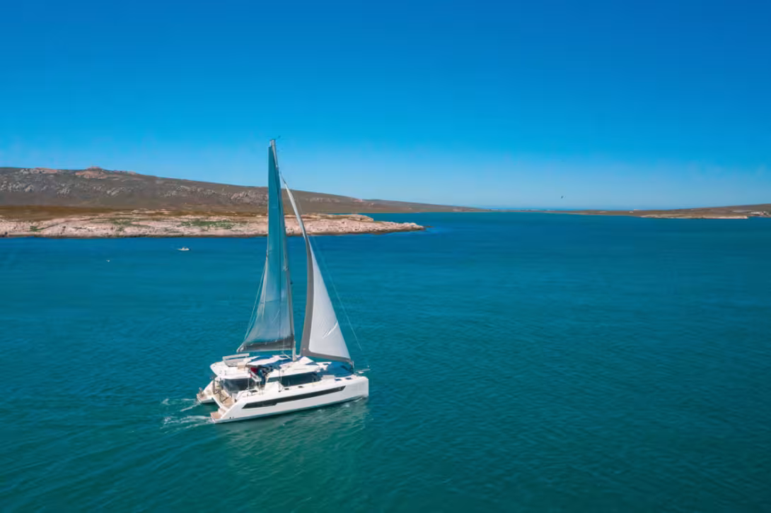 La marque Leopard Catamarans vend ses multicoques en direct, ce qui permet d’orchestrer à tout moment des promotions conséquentes.